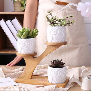 Owl Ceramic Planter Set – White Succulent Pots with Bamboo Tree Stand